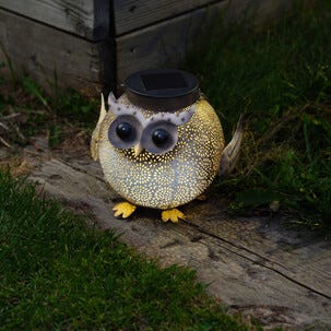 Northlight hängande solcellslykta uggla, 26 cm
