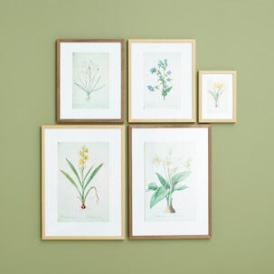 Fotoramme av FSC-merket tre på 50 x 70 cm