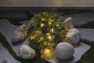 Pallotuija 33 cm Northlight