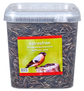 Solrosfrö för fåglar