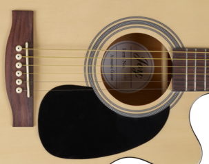 Stålsträngad akustisk gitarr Joy