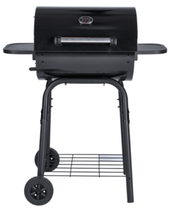 Hiiligrilli