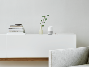 Röstassistent Google Home, svensk version