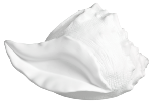 Pöytävalaisin Snäcka posliinia, Northlight