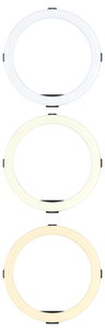 Joby Beamo Ring Light LED ringlampa 12 tum