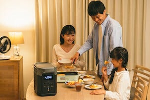 EcoFlow Delta 2 power station, bærbar