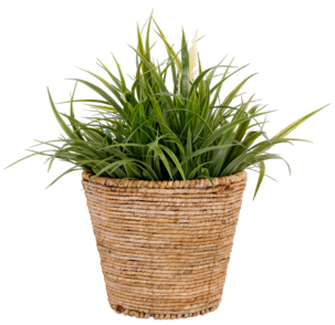 Blomsterpotte natur 