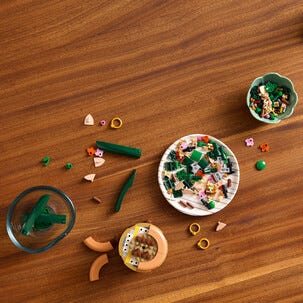 LEGO Icons Botanicals Miniorkidé 10343, 18 år