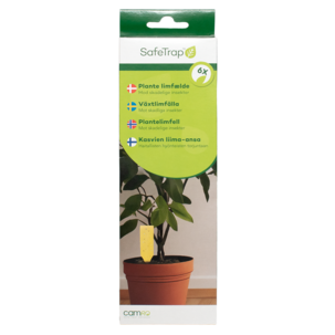 SafeTrap plantelimfelle mot insekter, 6-pakning