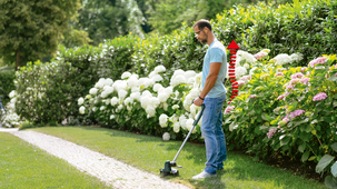 Bosch universal grass cut 18-260 grästrimmer