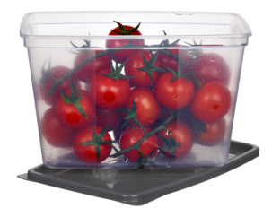 Eväsrasia muovia, kansi, pakastimeen ja mikroaaltouuniin