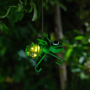Northlight Aurinkokennovalaisin roikkuva, hyönteinen 14 cm