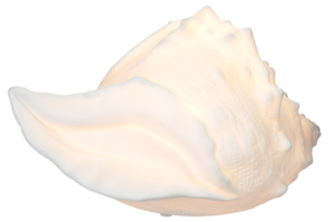 Pöytävalaisin Snäcka posliinia, Northlight