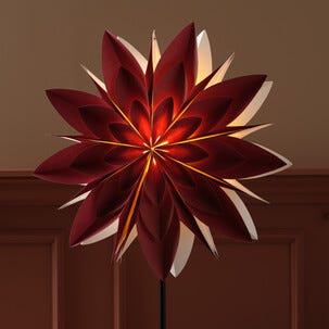 Adventsstjärna vinröd 50 cm, Northlight