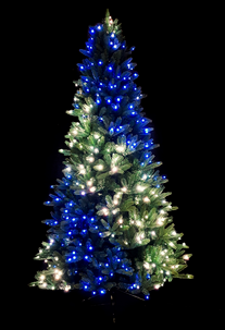 Twinkly Julgran med smart belysning, 230 cm, inomhus