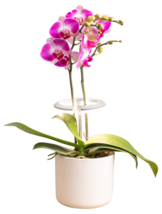 Kasvivalaisin LED ruukkukasveille, pyöreä teleskooppi valkoinen