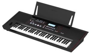 Roland E-X50 Arranger Keyboard med Bluetooth