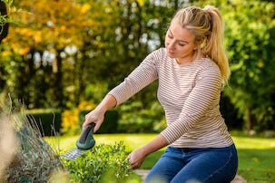 Bosch EasyShear 3,6 V, multitrimmer