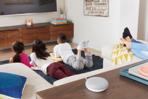 Google Home Mini, stemmeassistent, norsk versjon