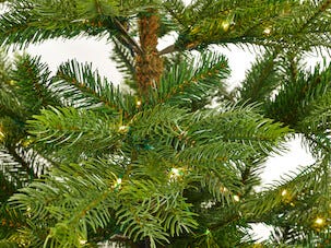 Julgran Vinterviken 210 cm med micro LED och timer