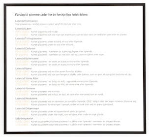 Skattejakt sirkusfest