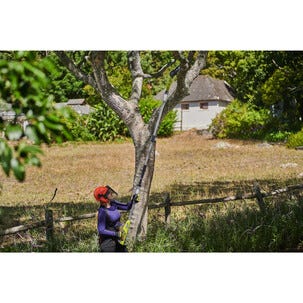 Ryobi grensag teleskop RY18PP20A-0 ONE+, 18 V