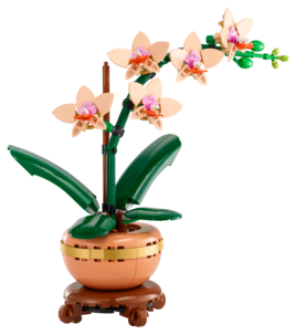 LEGO Icons Botanicals Miniorkidea 10343, yli 18-vuotiaille