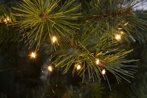 Julgransbelysning, Northlight