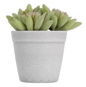Kunstig sukkulent, 13 cm