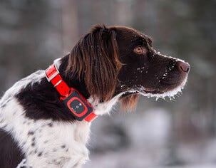 MiniFinder Rex hundpejl GPS tracker jakt, GSEMFR