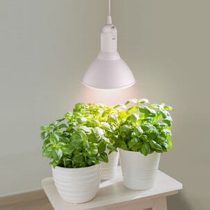 Växtlampa LED E27 PAR38, odlingslampa inomhus, 15W
