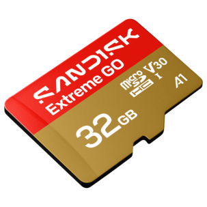 Sandisk Extreme GO UHS-I microSD-kort
