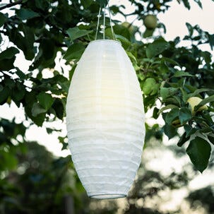 Northlight solcellelykt rislampe oval, hvit