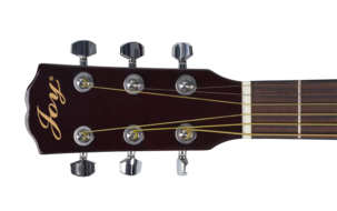 Stålsträngad akustisk gitarr Joy