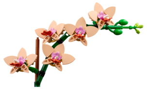 LEGO Icons Botanicals Miniorkidea 10343, yli 18-vuotiaille