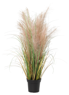 Konstväxt gräs med plymer, 92 cm
