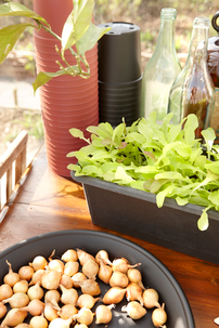 Hammarplast Blomlåda Botanica, 80 cm