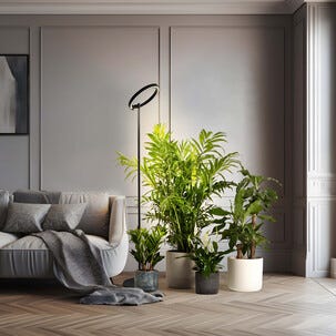 Växtbelysning golvlampa med timer, höjd 164,5 cm