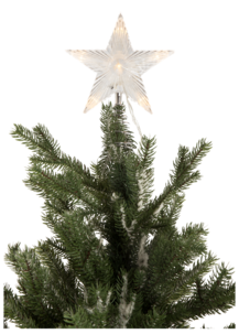 Julgransstjärna med belysning Northlight
