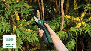 Bosch EasyPrune Puutarhasakset, ohileikkaavat, akkukäyttöiset, 3,6 V