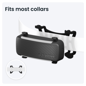 Tractive Dog 6 GPS-tracker for hund