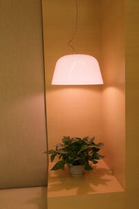 Växtlampa LED