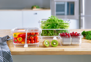 Duo Large oppbevaring grønnsaker, 4,8 l