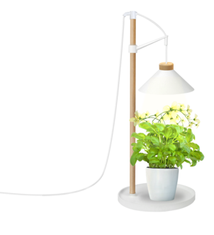 Kasvivalaisin, jossa lampunvarjostin, säädettävä, puuta