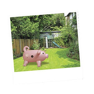 Familjespel Kasta Gris, Jumbo