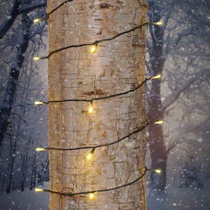 LED ljusslinga med svart kabel utomhus / inomhus, Northlight