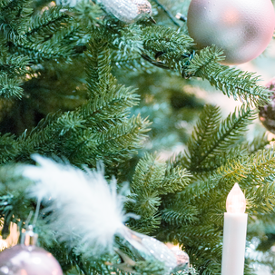 Julgran med snö, 210 cm