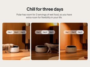 Petlibro Polar våtfoderautomat med kylning, WiFi