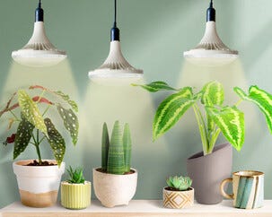 Plantelyspære LED E27 fullspektrum til vekstlys, 32 W