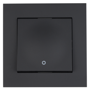 ELKO Plus bryter 2-pol innfelt